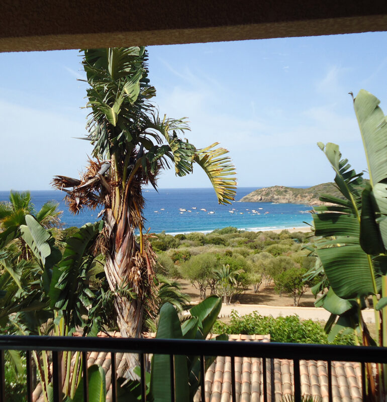 Nos T2 étage :  vue Panoramique sur la beauté de la Corse